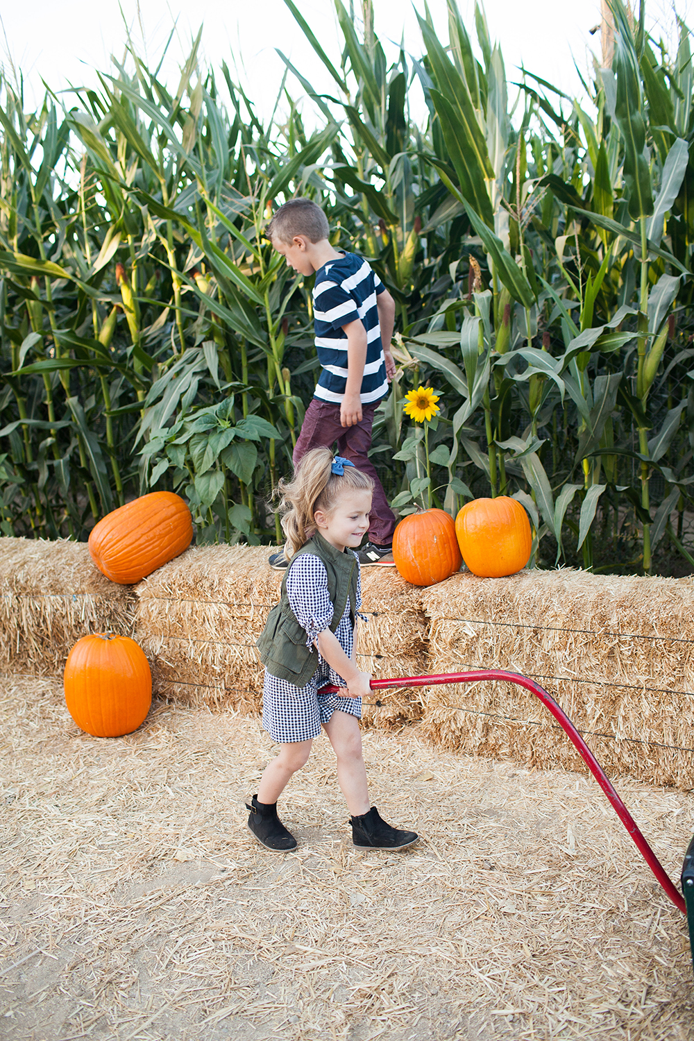 kailee-wright_pumpkin-patch