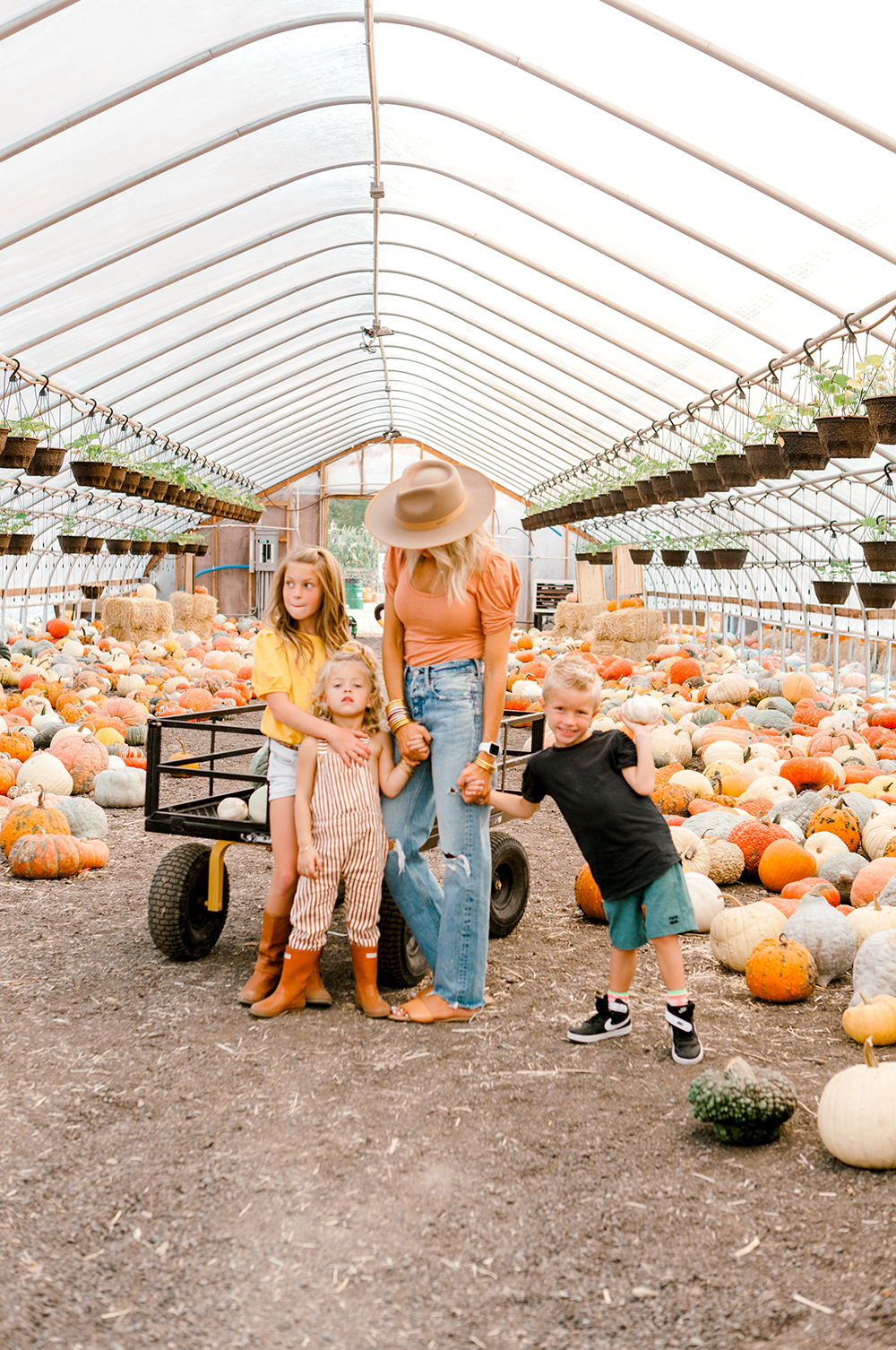 kailee wright Pumpkin patch