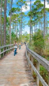 kailee wright seaside